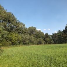 Schwarzhölzl