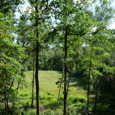 FFH-Gebiet Grunewald