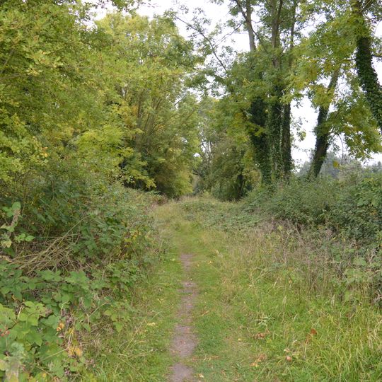 Arlesey Old Moat and Glebe Meadows