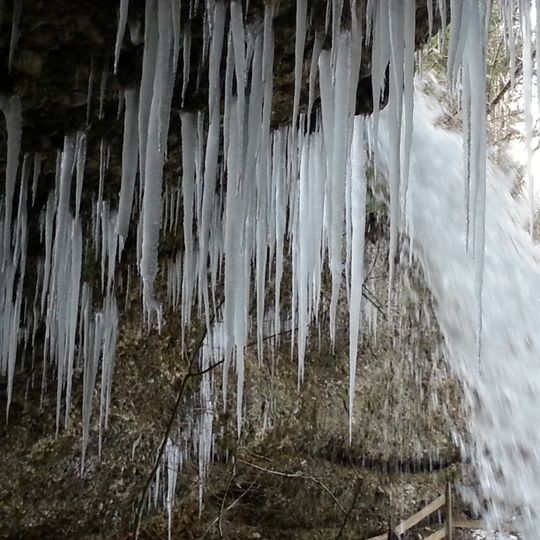 Naturschutzgebiet 'Rohrachschlucht'
