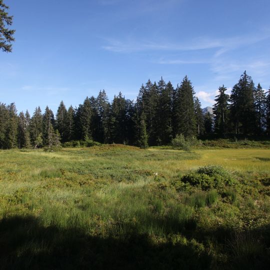 Tourbière Des Saisies - Beaufortain - Val D'Arly