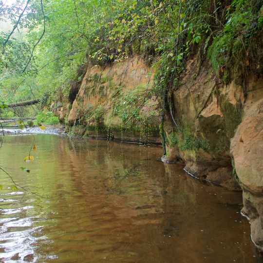 Rauņa lejteces ieži