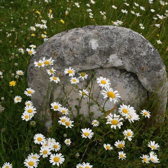 Stracheye Headstone Approximately 15 Metres West Of South Aisle Of Church Of St Andrew