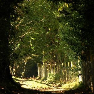 Dartmoor Way