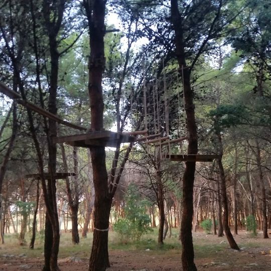 Parco Avventura Orte