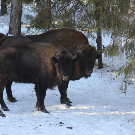 Klyazminsko-Lukhsky Zakaznik