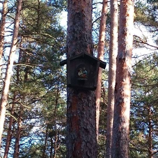 Obrázek jihovýchodně od Zádubu