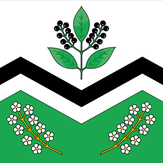 Городское поселение рабочий посёлок Мошково