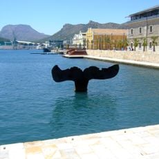 Cola de ballena, Cartagena