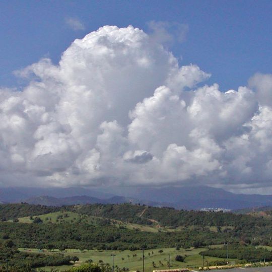 Forêt nationale d'El Yunque