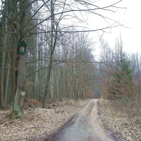 Obrázek západně od Koryt