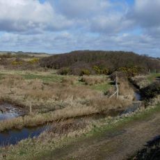 Lymington and Keyhaven Marshes