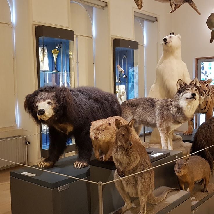 Natuurhistorisch Museum Rotterdam