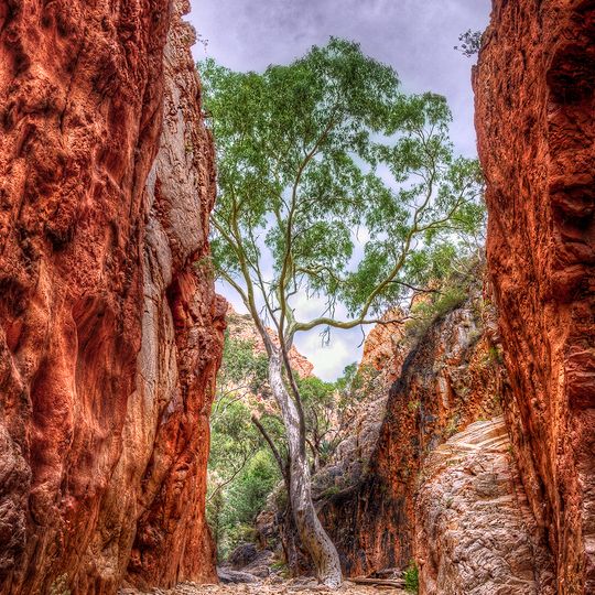 Standley Chasm