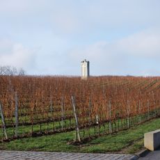 Small Carpathians Wine Region