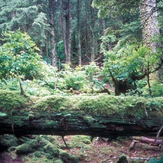 Forrester Island Wilderness