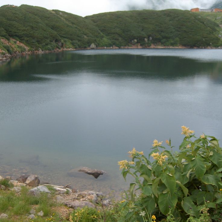 Mikurigaike Pond
