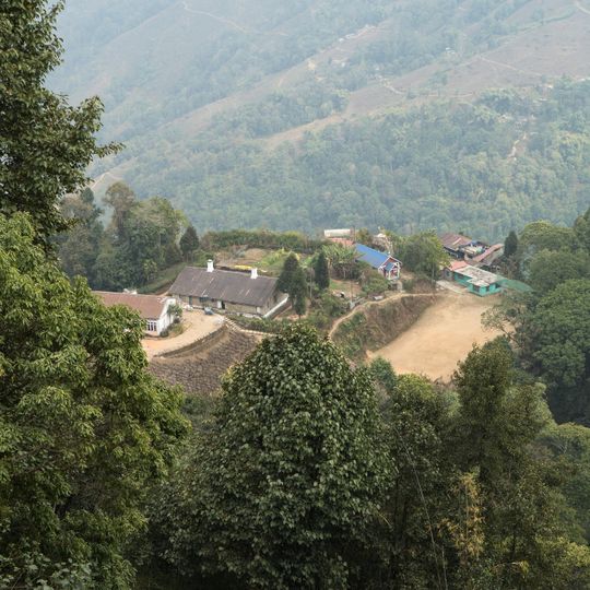 Puttabong Tea Estate