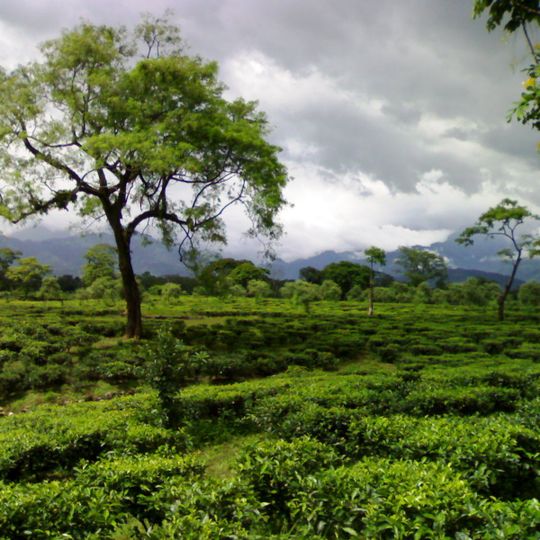 Nagrakata community development block