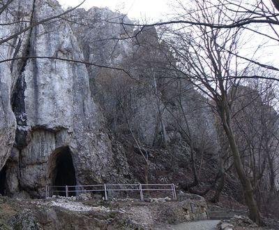 Entrance 0