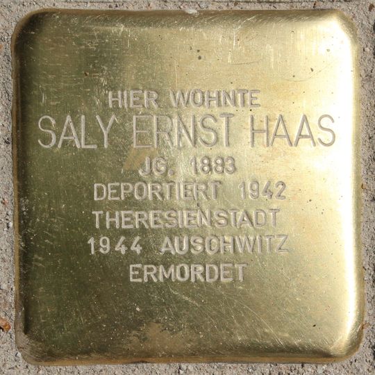Stolperstein dedicated to Saly Ernst Haas