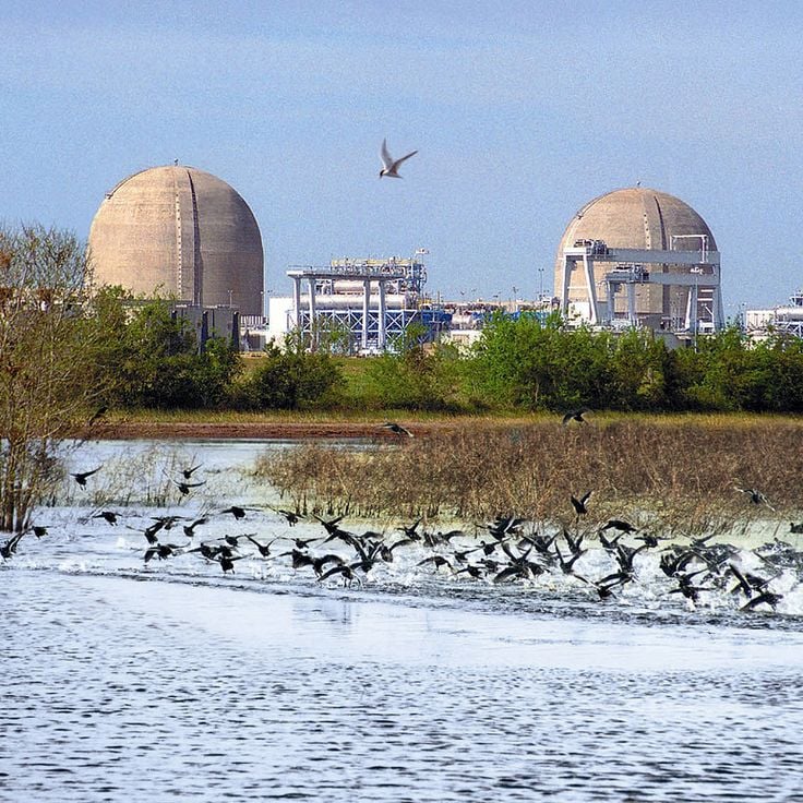 South Texas Nuclear Generating Station