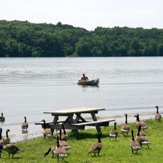Nockamixon State Park