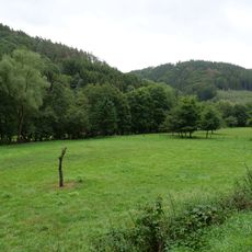 LSG-Wald zwischen Einruhr und Truppenuebungsplatz