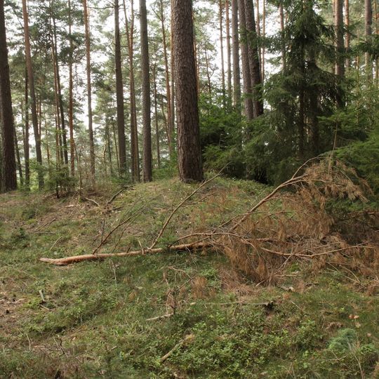 Burgstall Hohenrasch