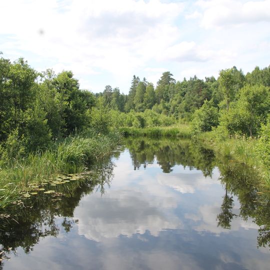Domneåns naturreservat