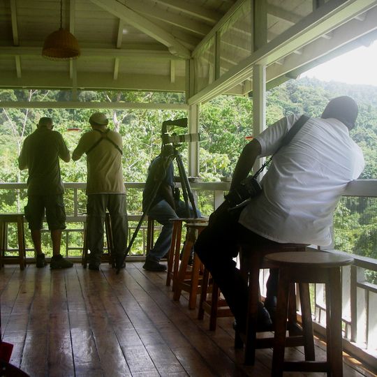 Centro natural Asa Wright