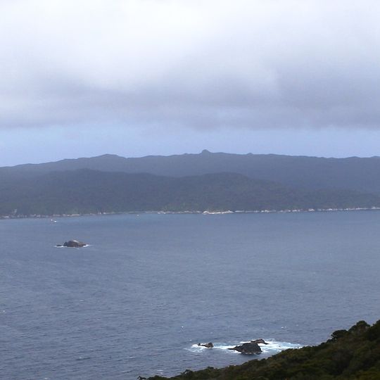 Codfish Island / Whenua Hou