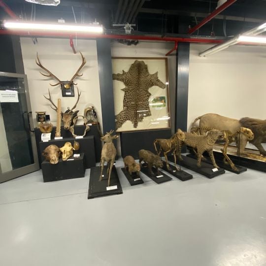Istanbul Zoology Museum