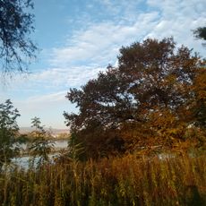 Rheinhessisches Rheingebiet