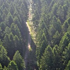 Vahrendorf Forst (Haake), Heimfeld, Eissendorf und Marmstorf