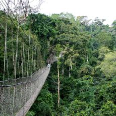 Parco nazionale di Kakum