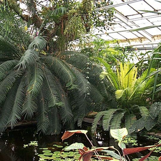 Botanical Garden of Košice