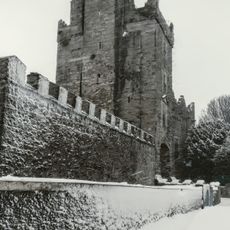 Drimnagh Castle