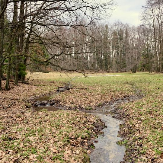 Novodvorský močál