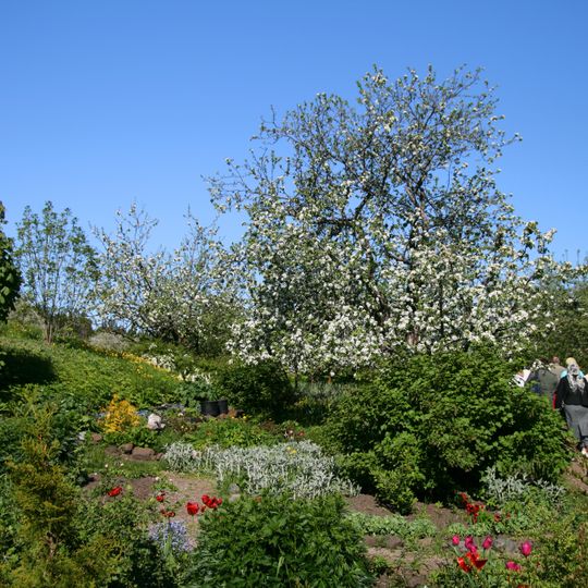 Orchard, Valaam Monastery