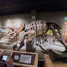 Buffalo Museum of Science
