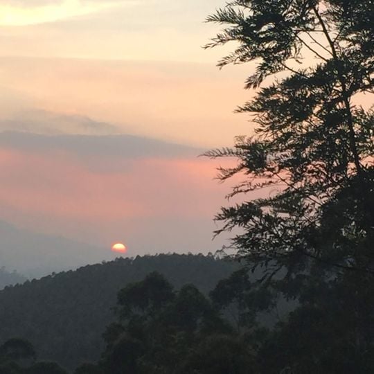 Town Hill View Point