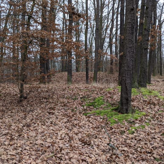 Hradiště Na Žlubinci