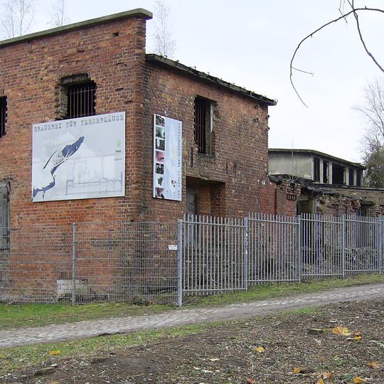 Fledermausquartier Brauereikeller Frankfurt