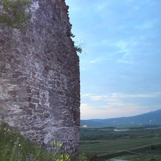 Castle in Korolevo