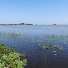 Tänavjärv