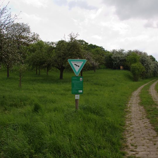 Am Faulenberg bei Dauernheim