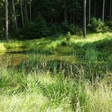 Vordere und Hintere Heide südlich Uhlstädt