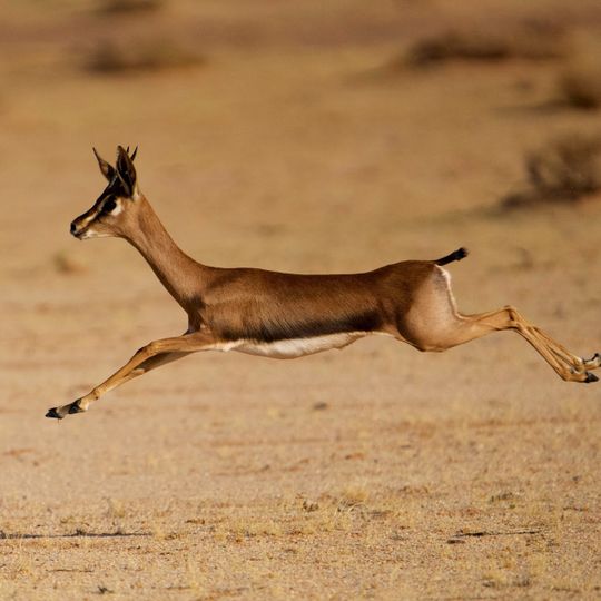 Sharaan Nature Reserve
