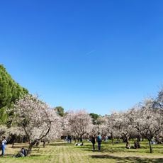 Quinta de los Molinos Park
